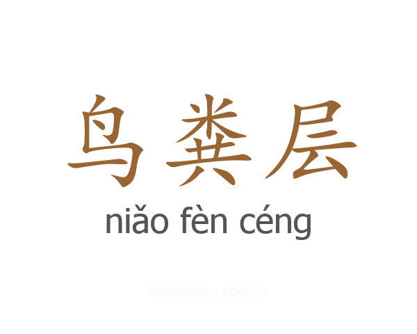 鸟粪层