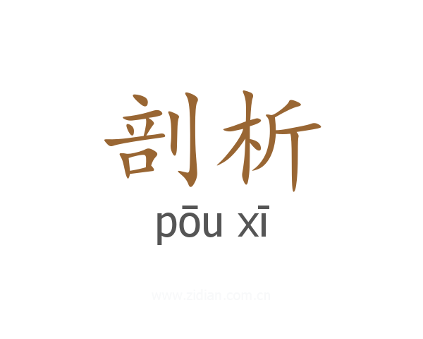 剖析
