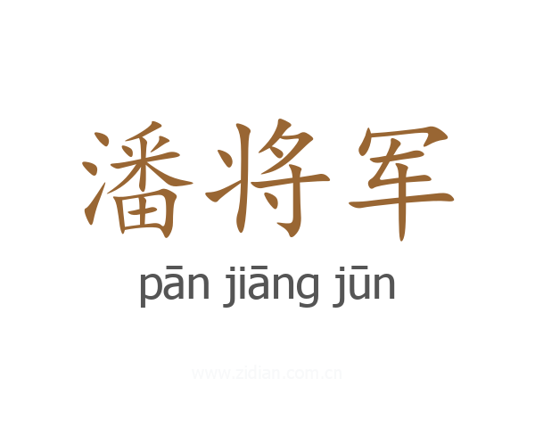潘将军
