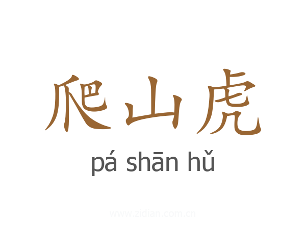 爬山虎