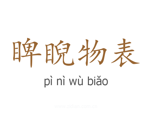 睥睨物表