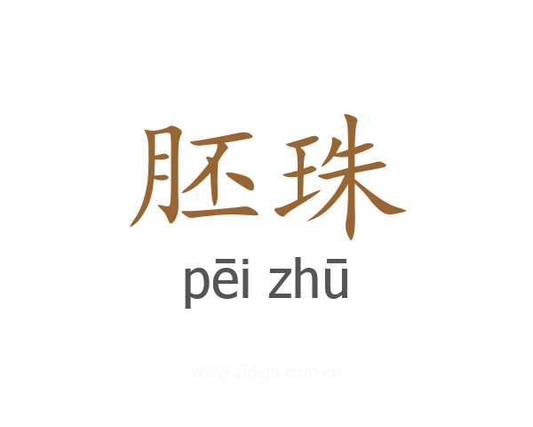 胚珠