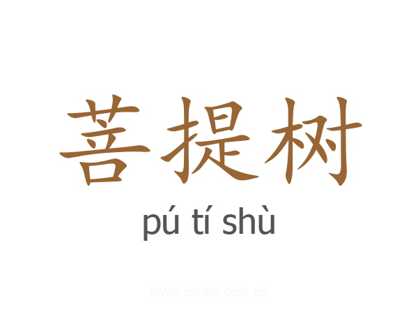 菩提树