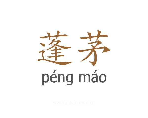 蓬茅