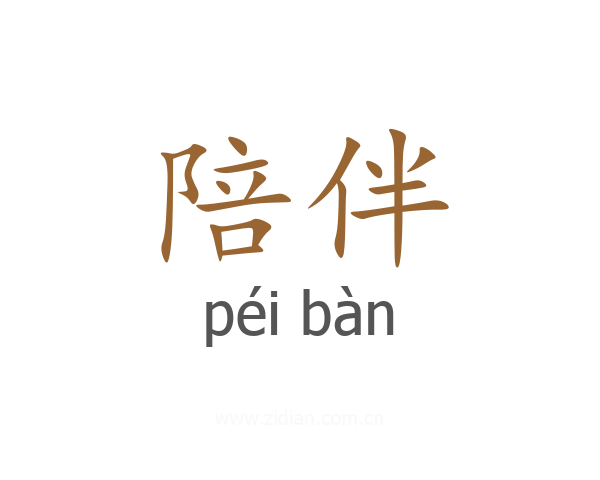 陪伴