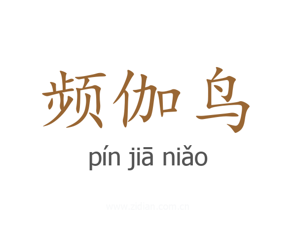 频伽鸟