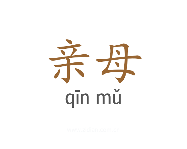 亲母