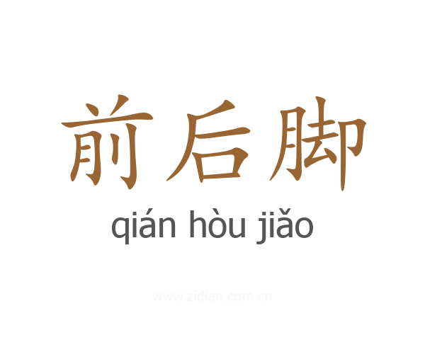 前后脚