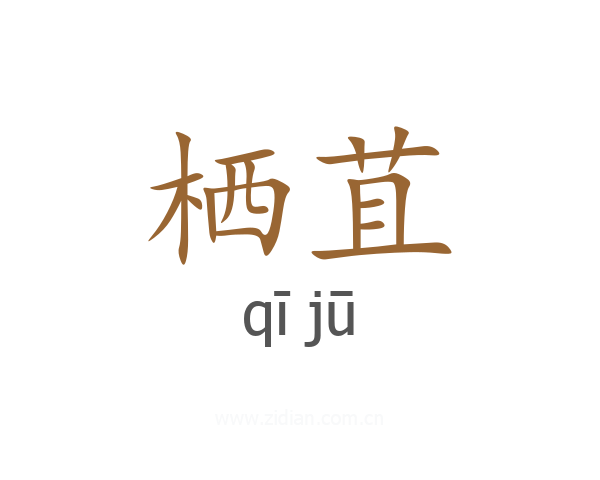 栖苴
