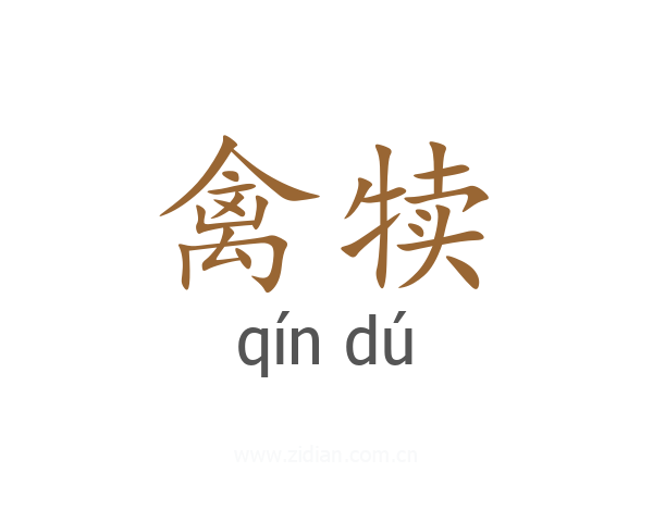 禽犊