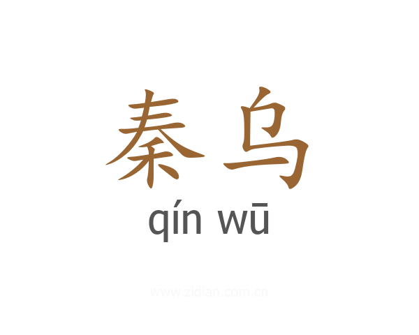 秦乌
