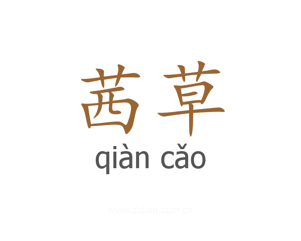 茜草