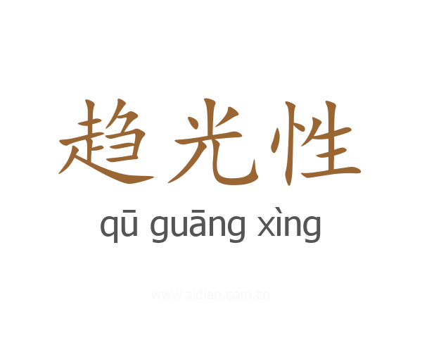 趋光性