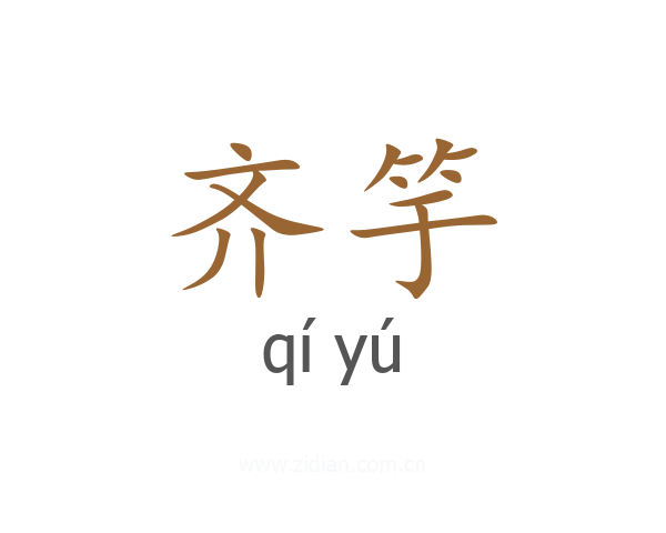 齐竽