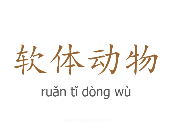 软体动物