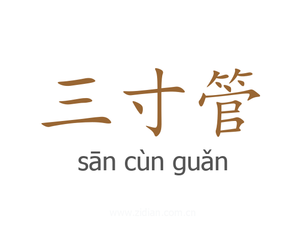 三寸管