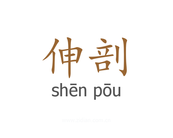 伸剖