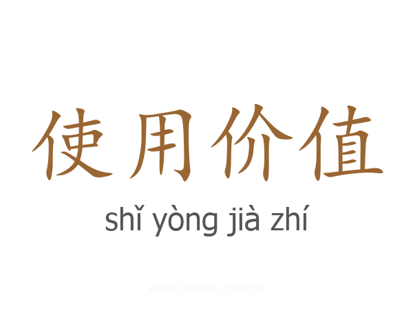 使用价值