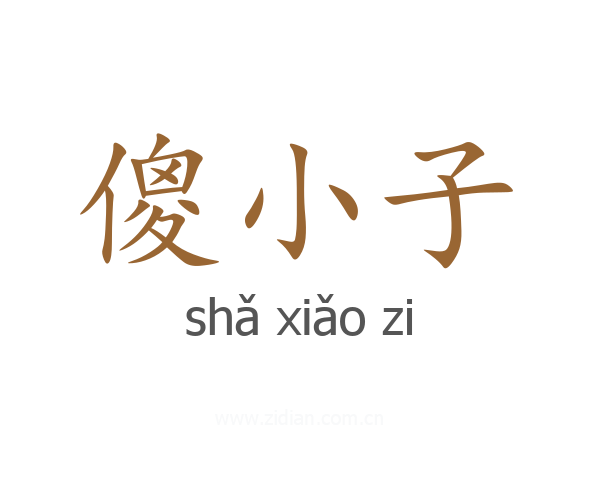 傻小子