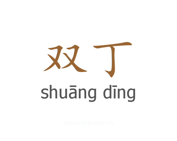 双丁
