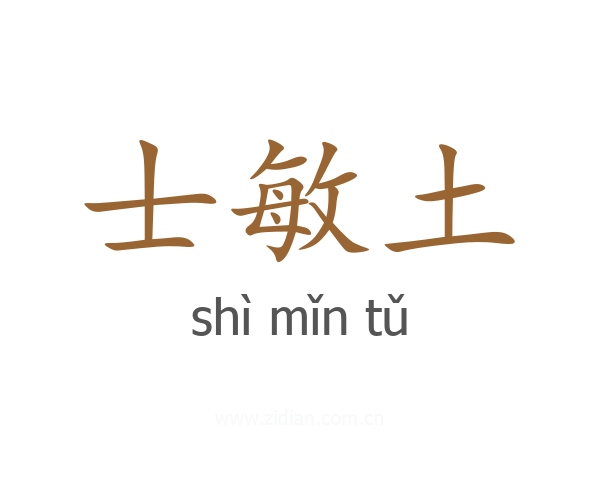 士敏土