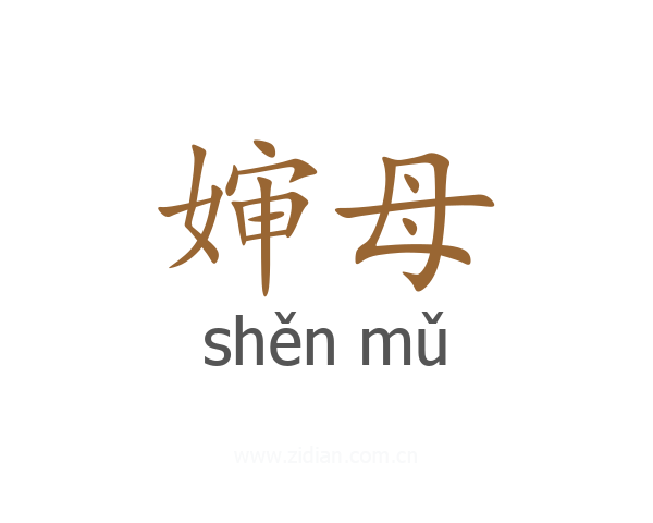 婶母