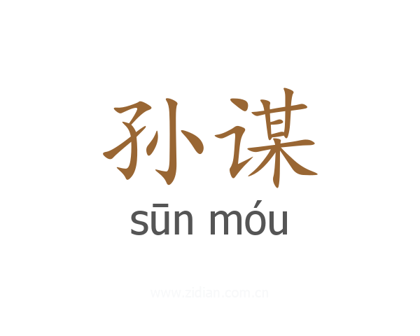 孙谋