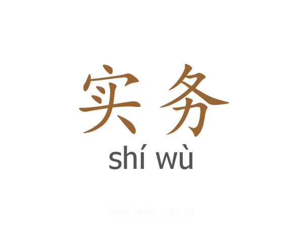 实务