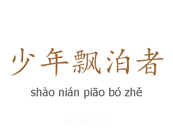 少年飘泊者