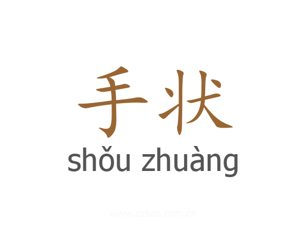 手状