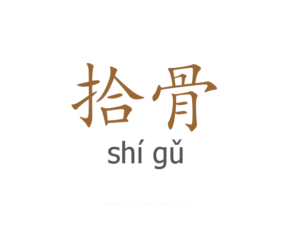 拾骨