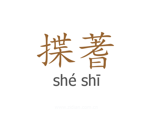 揲蓍
