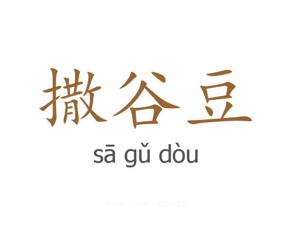 撒谷豆
