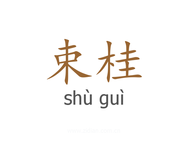 束桂