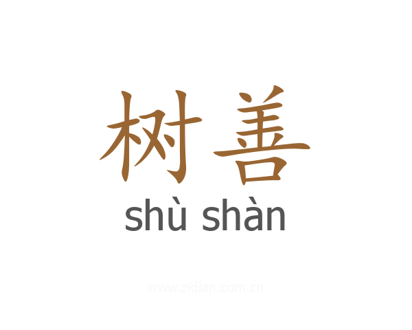 树善