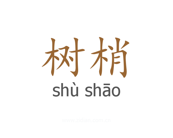 树梢