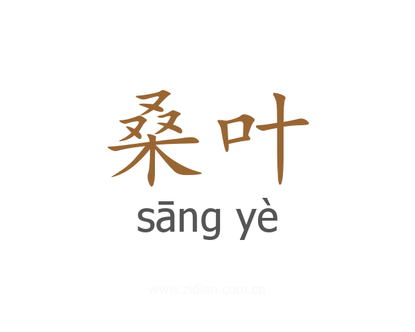 桑叶