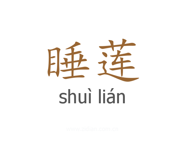 睡莲