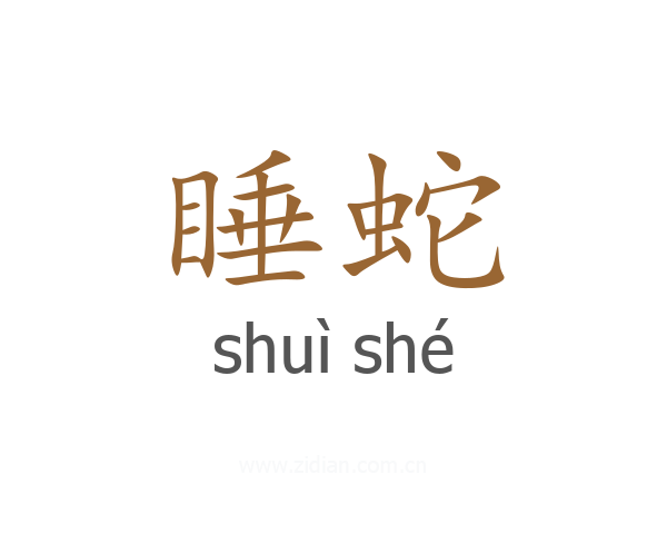 睡蛇