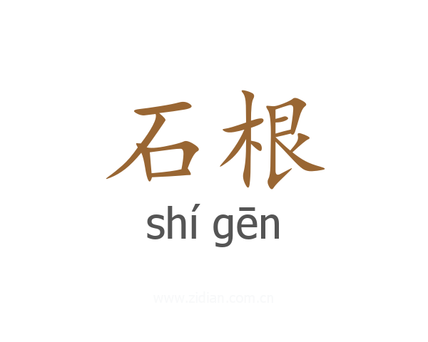 石根