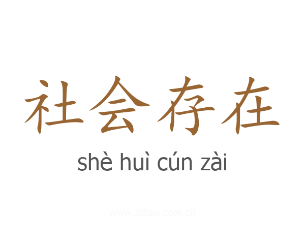 社会存在