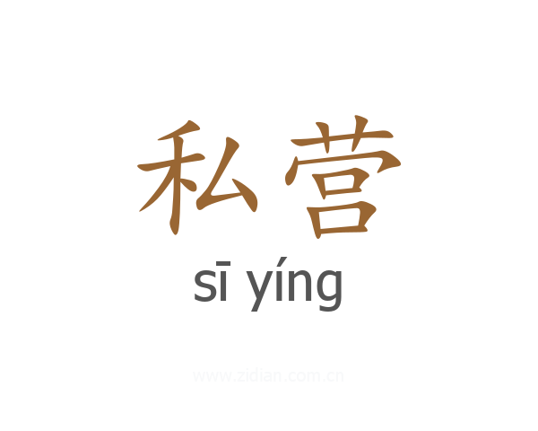 私营