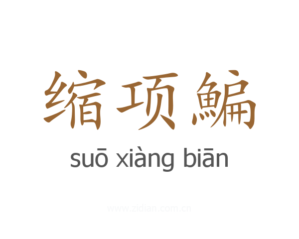 缩项鯿