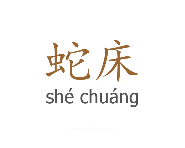 蛇床