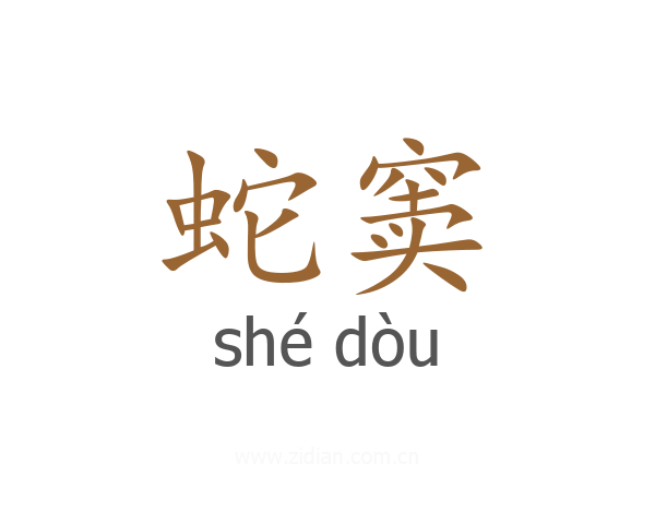 蛇窦
