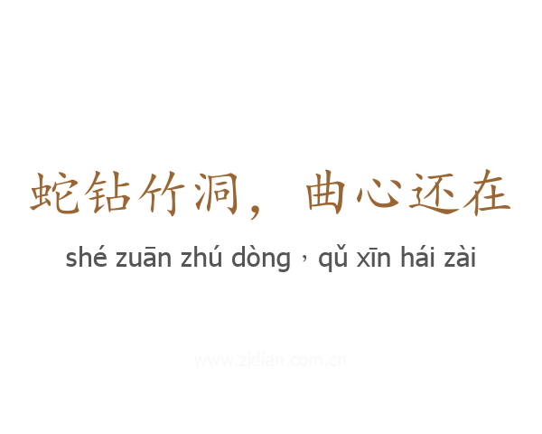 蛇钻竹洞,曲心还在