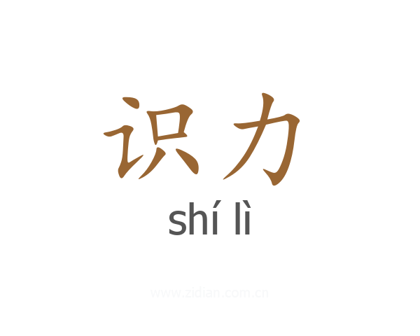 识力