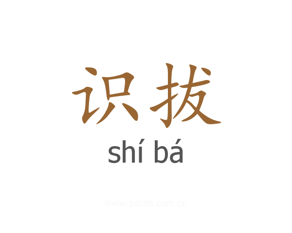 识拔