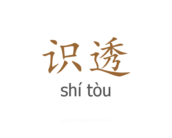 识透