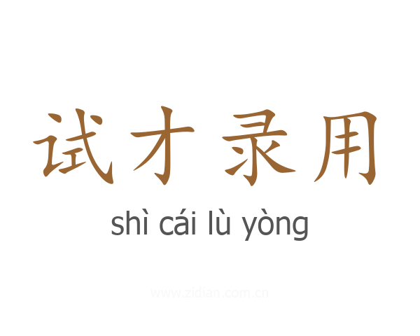 试才录用